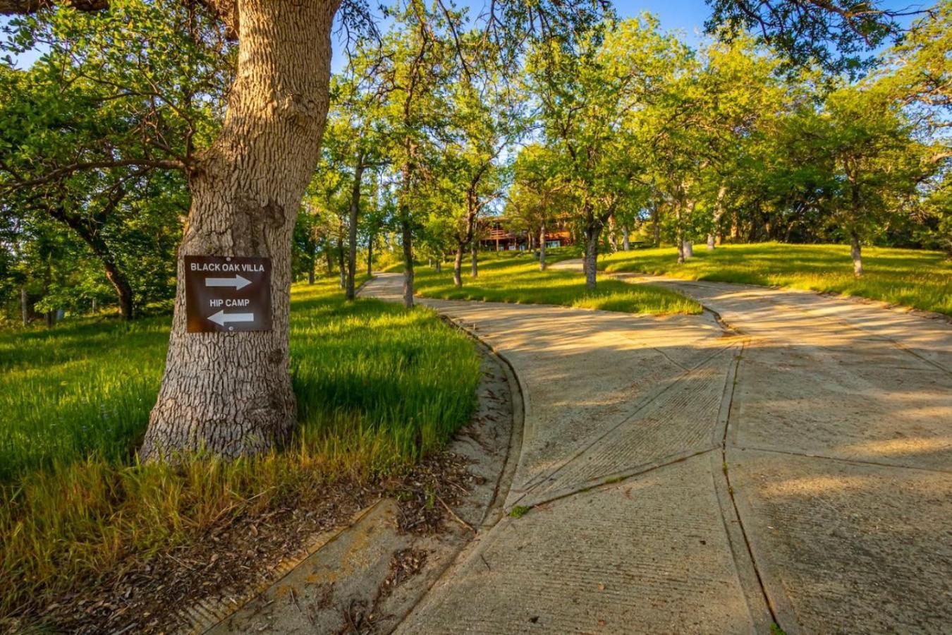 10-Acre Forest Villa, 20 Miles From Yosemite South 奥克赫斯特 外观 照片