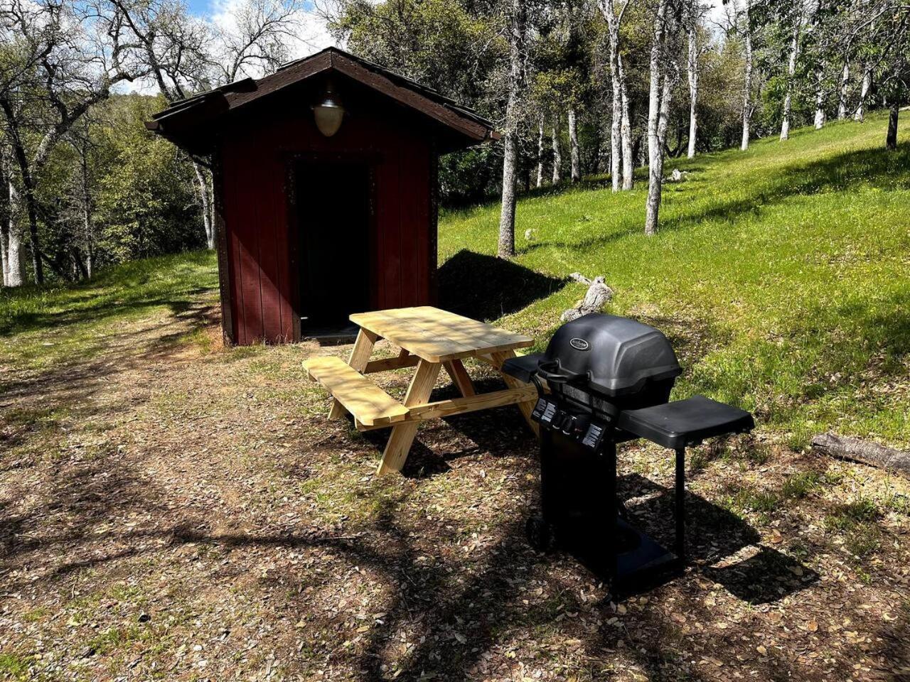 10-Acre Forest Villa, 20 Miles From Yosemite South 奥克赫斯特 外观 照片