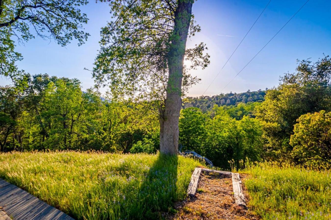 10-Acre Forest Villa, 20 Miles From Yosemite South 奥克赫斯特 外观 照片