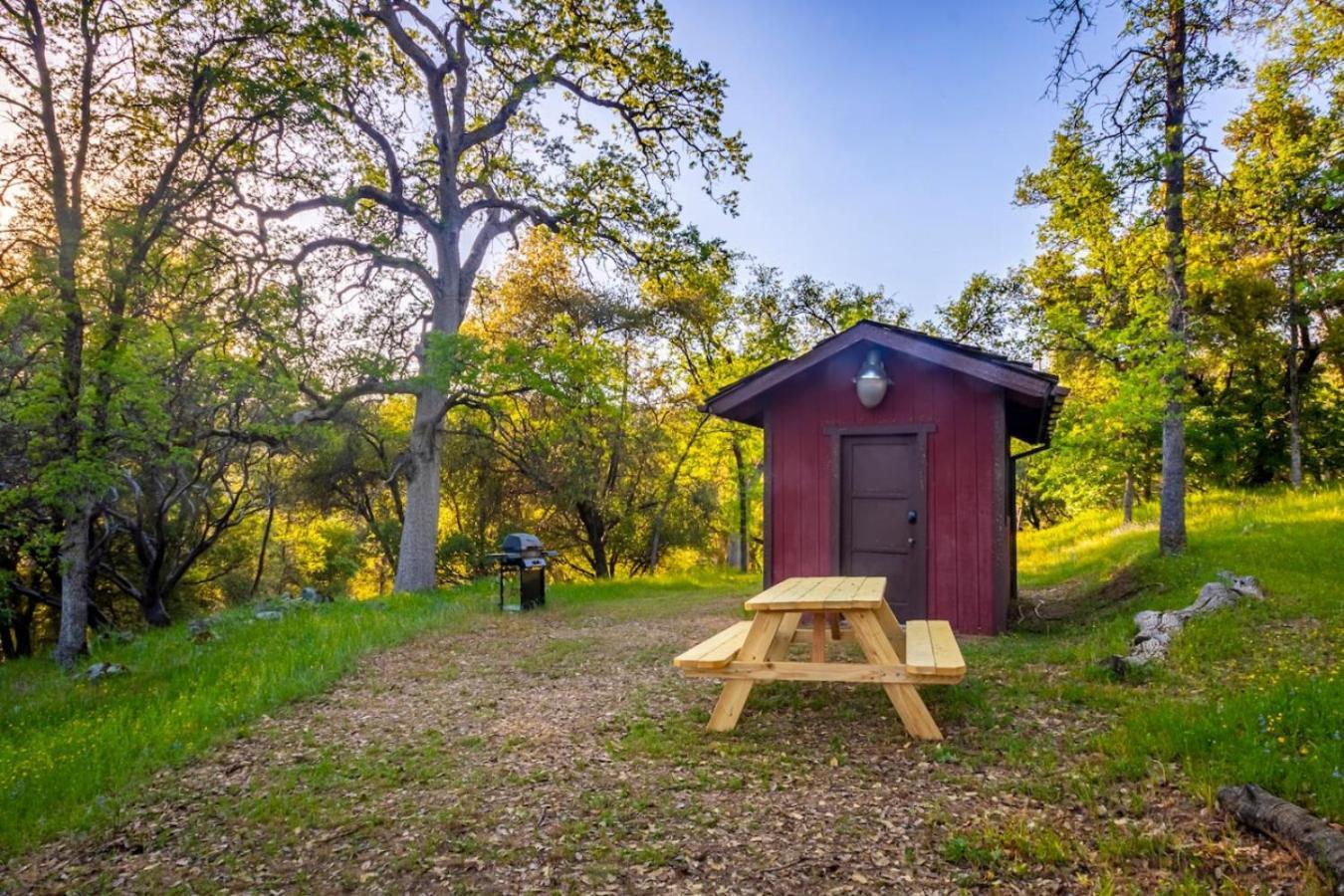 10-Acre Forest Villa, 20 Miles From Yosemite South 奥克赫斯特 外观 照片