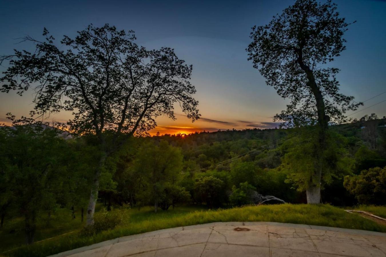 10-Acre Forest Villa, 20 Miles From Yosemite South 奥克赫斯特 外观 照片