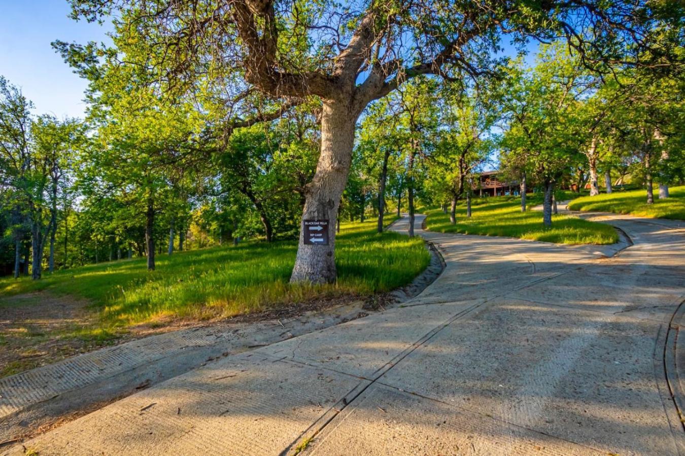 10-Acre Forest Villa, 20 Miles From Yosemite South 奥克赫斯特 外观 照片