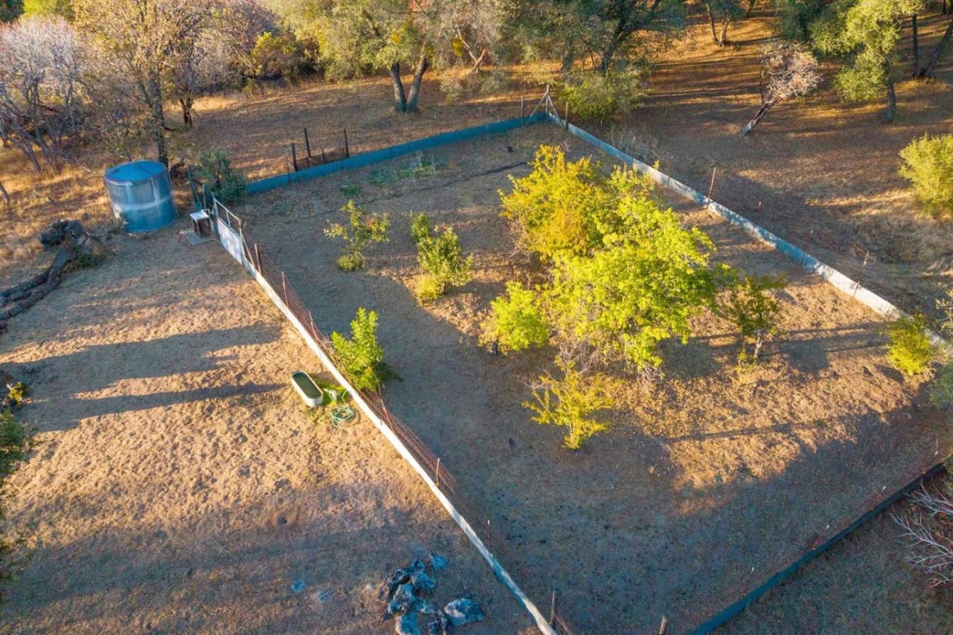 10-Acre Forest Villa, 20 Miles From Yosemite South 奥克赫斯特 外观 照片