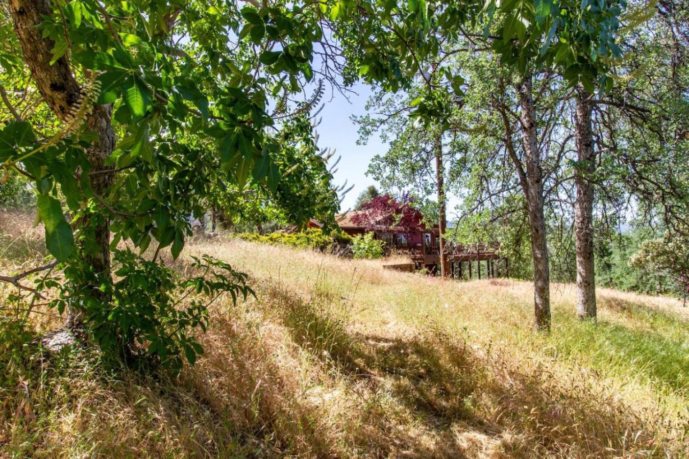 10-Acre Forest Villa, 20 Miles From Yosemite South 奥克赫斯特 外观 照片