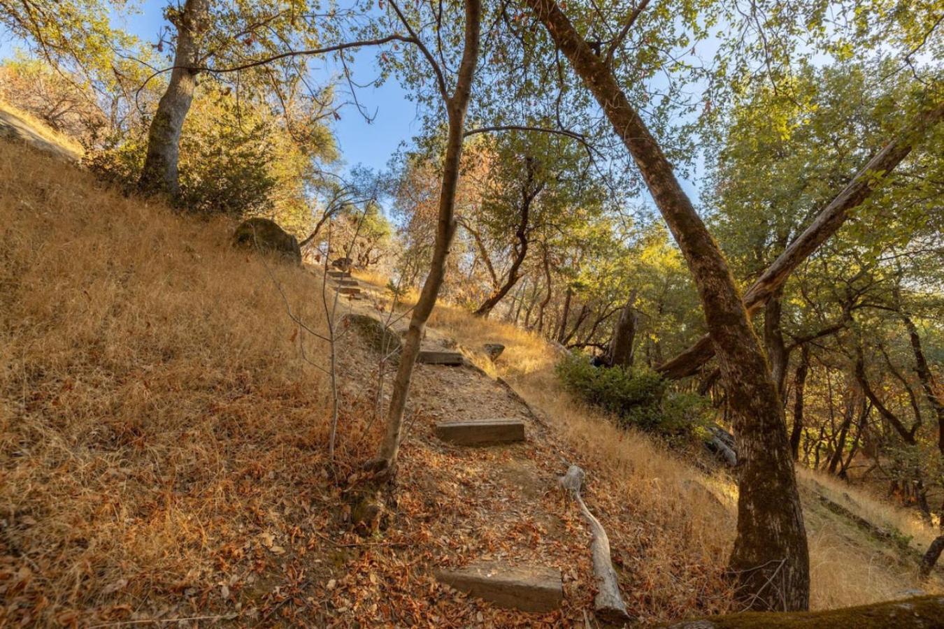 10-Acre Forest Villa, 20 Miles From Yosemite South 奥克赫斯特 外观 照片