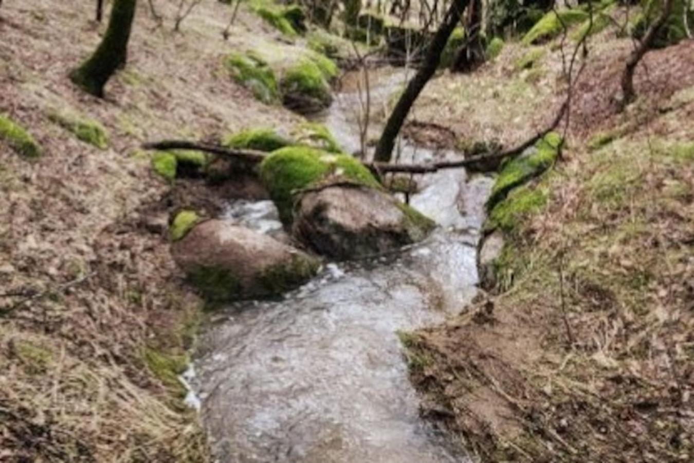 10-Acre Forest Villa, 20 Miles From Yosemite South 奥克赫斯特 外观 照片